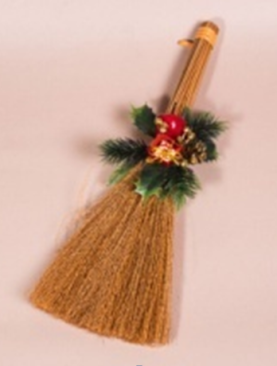 Witch Broom