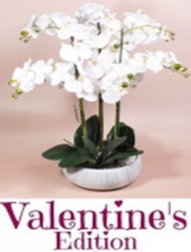 Artificial Orchids Valentines Edition