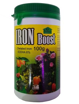 Iron Boost