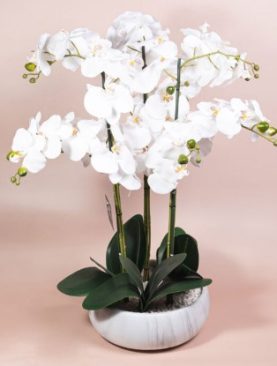 Artificial Orchid