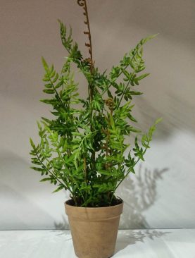 Artificial Fern in Pot