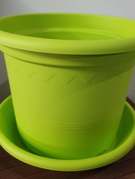 Plastic Pots lime green