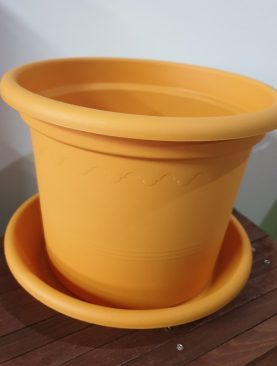 Plastic Pots mango