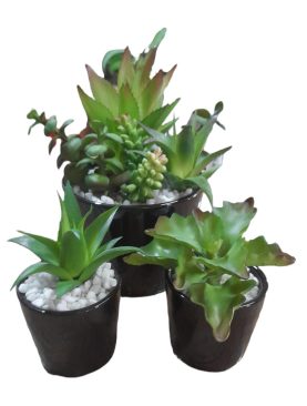 Artificial Agave Succulent In Pot