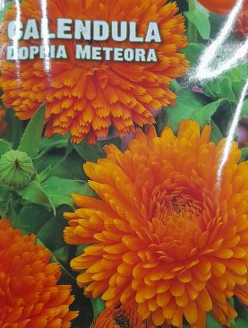 Calendula Doppia Meteora Seeds