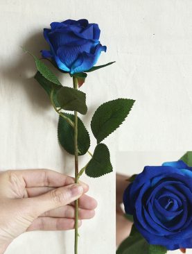 Blue Rose Stem