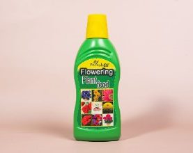 Flowering Plant Food