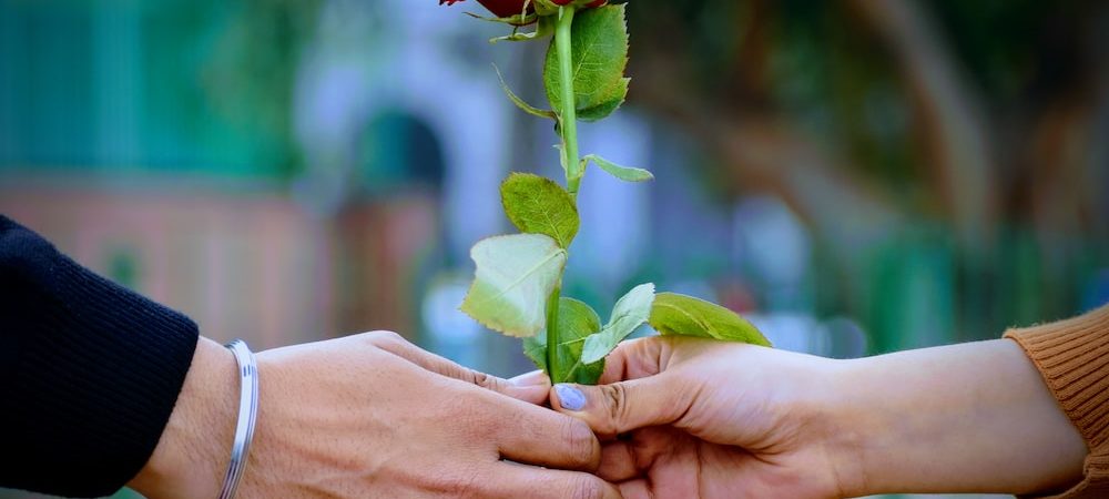 A Rose for Love: The Timeless Symbol of Passion and Affection