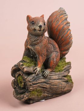 Squirrel