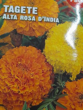 Tagete Alta Rosa D'India Seeds