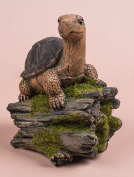 Turtle On Trunk