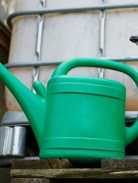 Watering Can