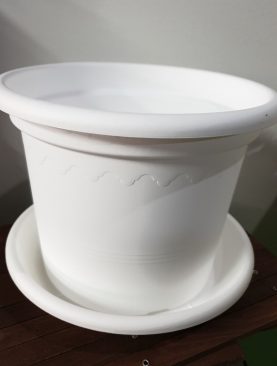 Plastic Pots white