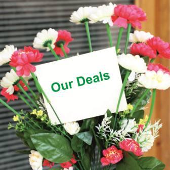 Our Deals