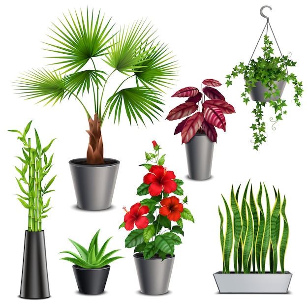 Artificial Plants