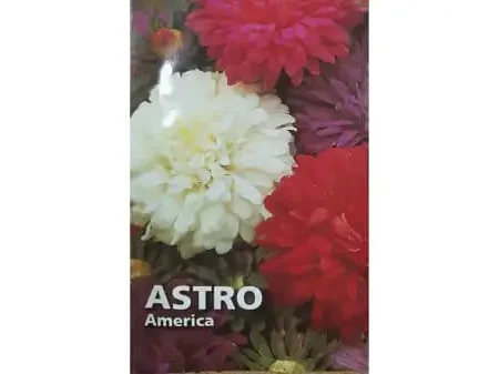 Astro America Seeds