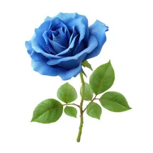 Blue Rose Stem