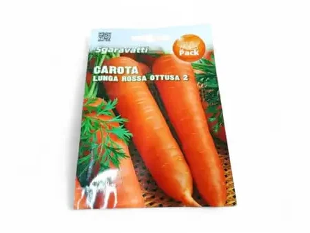 Carota Seeds