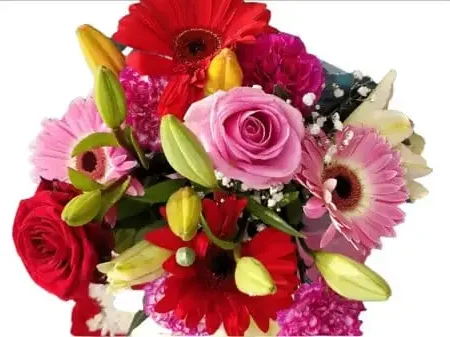 Happy Flowers