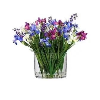 Iris Stem