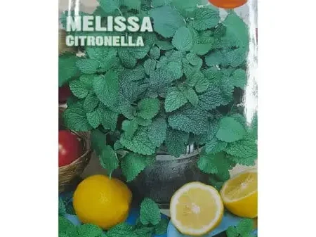 Melissa Citronella Seeds