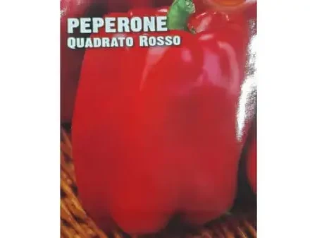 Peperone Quadrato Rosso Seeds