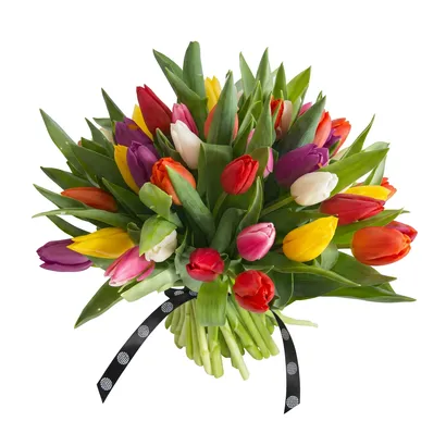 Tulips Temptation Mother's Day Edition