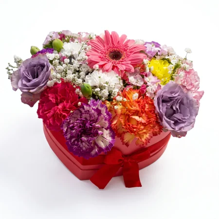 Woman's Heart